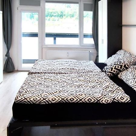 Utulny Apartman V Centru, S Krasnym Vyhledem Дечин Екстер'єр фото