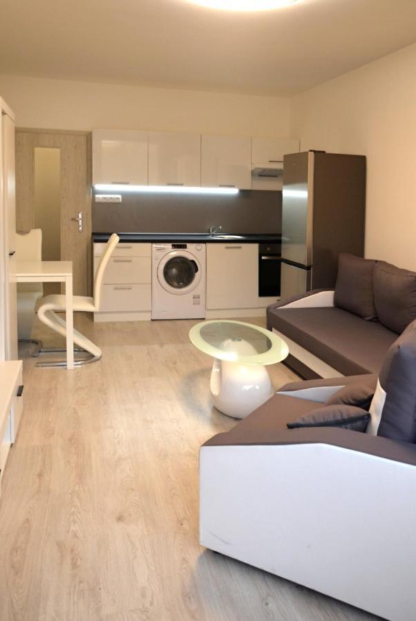 Utulny Apartman V Centru, S Krasnym Vyhledem Дечин Екстер'єр фото
