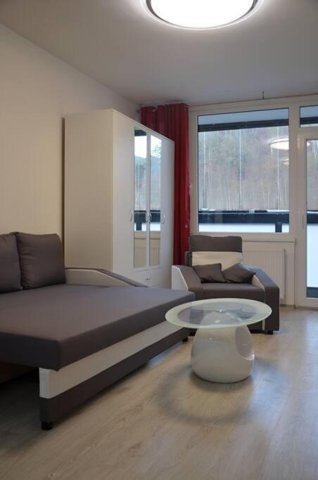 Utulny Apartman V Centru, S Krasnym Vyhledem Дечин Екстер'єр фото